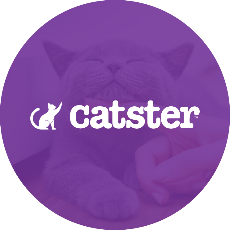 Catster icon